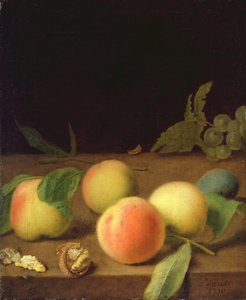 果物の静物画、1730